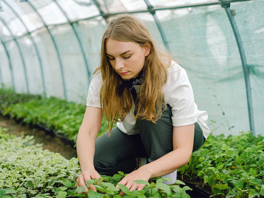 Plant Nursery