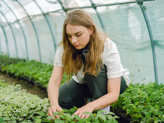 Plant Nursery